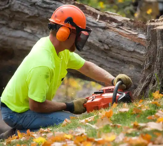 tree services Emerson